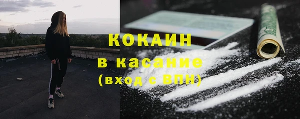 ешки Алексин