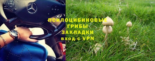 дмт Алзамай