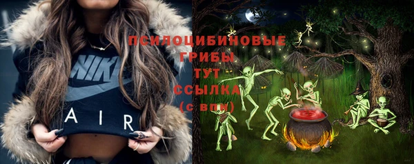 дмт Алзамай