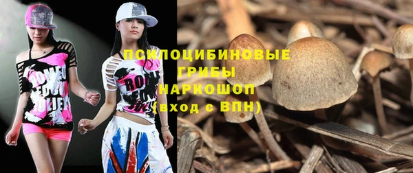 ешки Алексин